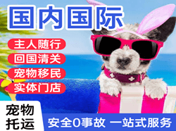 拉萨航空空运国际宠物托运 【国